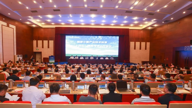 我院小麦研究所科技人员参加国家小麦产业技术体系“十四五”聘期考评工作会议