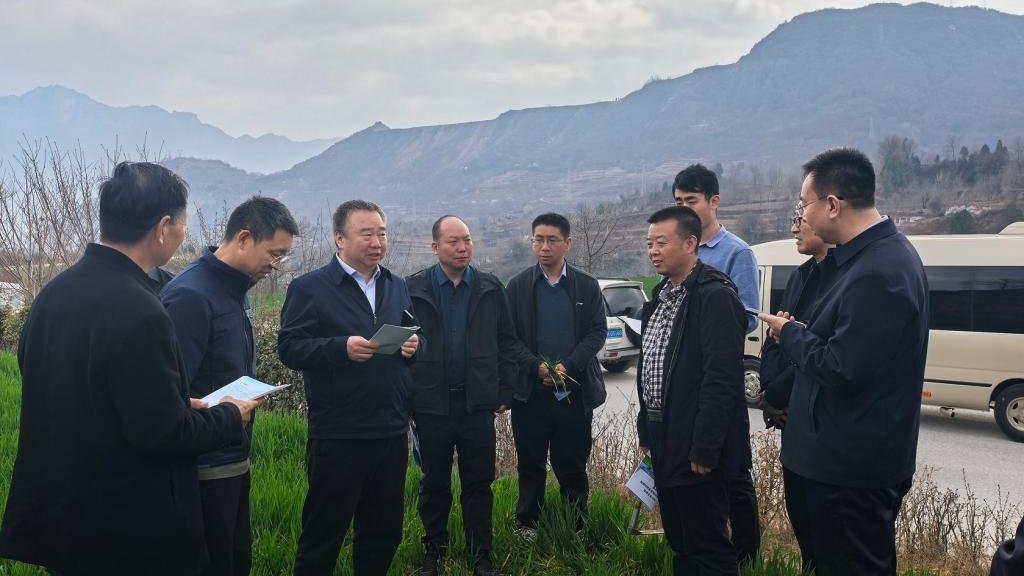 科技把脉麦田春管  助力陇原夏粮丰收