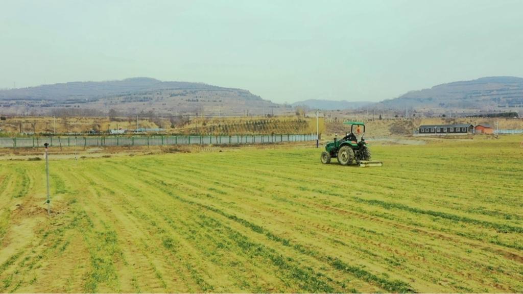 【人民日报】甘肃清水县：扛起“中国碗”里的“金种子”