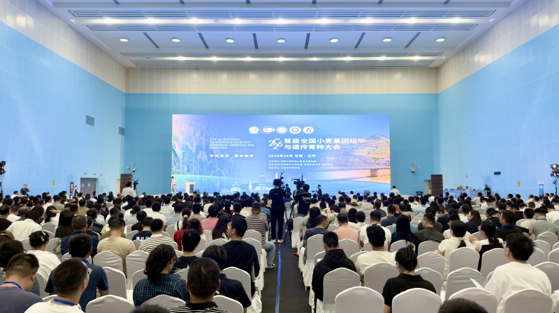 千名专家聚首兰州  共绘小麦种业“芯”蓝图