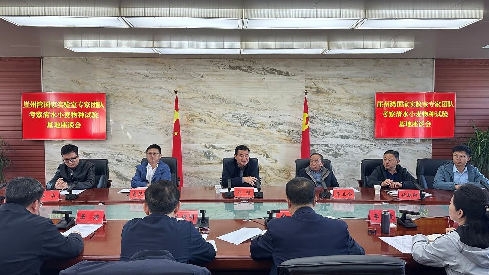 崖州湾国家实验室专家团队赴甘肃清水考察  共商小麦物种试验基地建设
