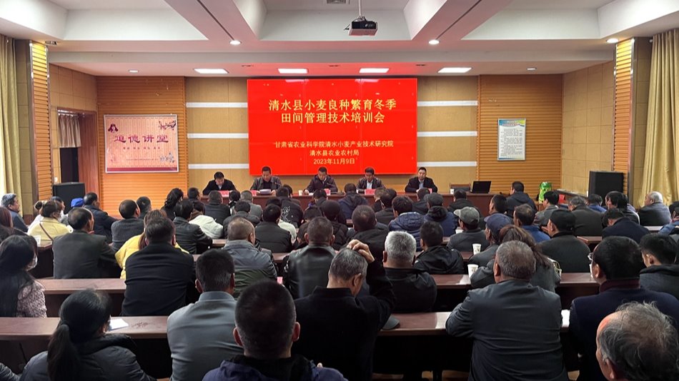 清水县召开小麦良种繁育冬季田间管理技术培训会